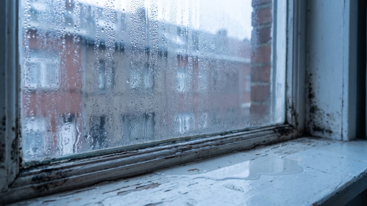 Waterdruppels op het glas van een raam met zicht op bakstenen huizen, zwarte schimmel in het witgeverfde kozijn en een plas water op de vensterbank.